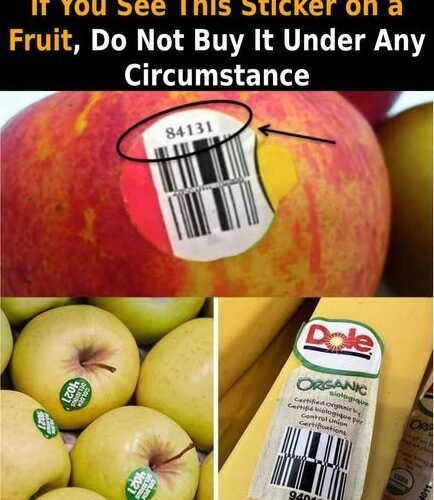 624726376 2374975579611887 7724308460445327279 n