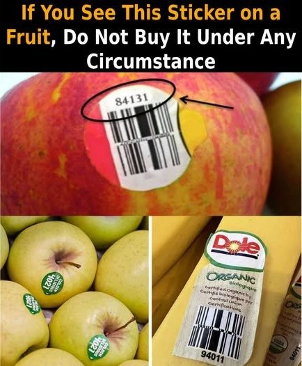 624726376 2374975579611887 7724308460445327279 n