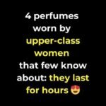 624762877 1290668769780436 4335892775443695737 n