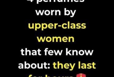 624762877 1290668769780436 4335892775443695737 n