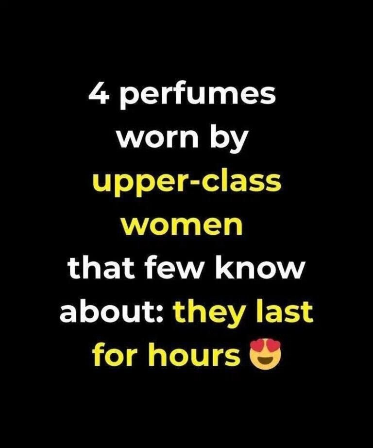 624762877 1290668769780436 4335892775443695737 n