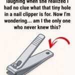 625110781 1290260416487938 5854956051172850565 n