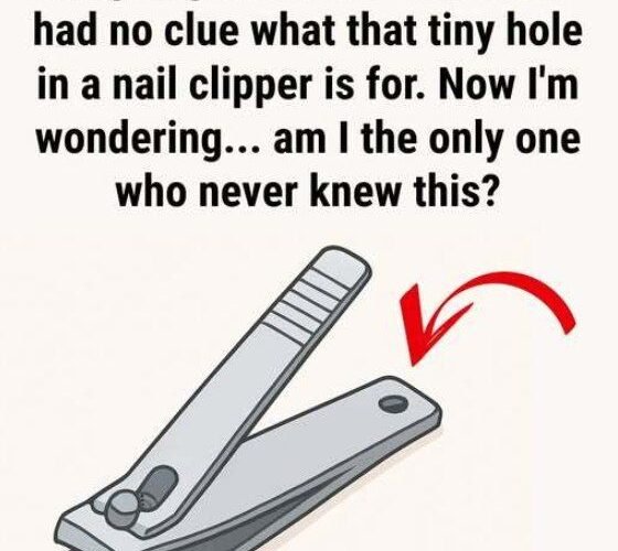 625110781 1290260416487938 5854956051172850565 n