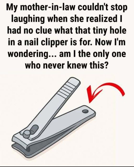 625110781 1290260416487938 5854956051172850565 n