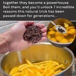 625515068 2361481644265070 6072824119706153728 n