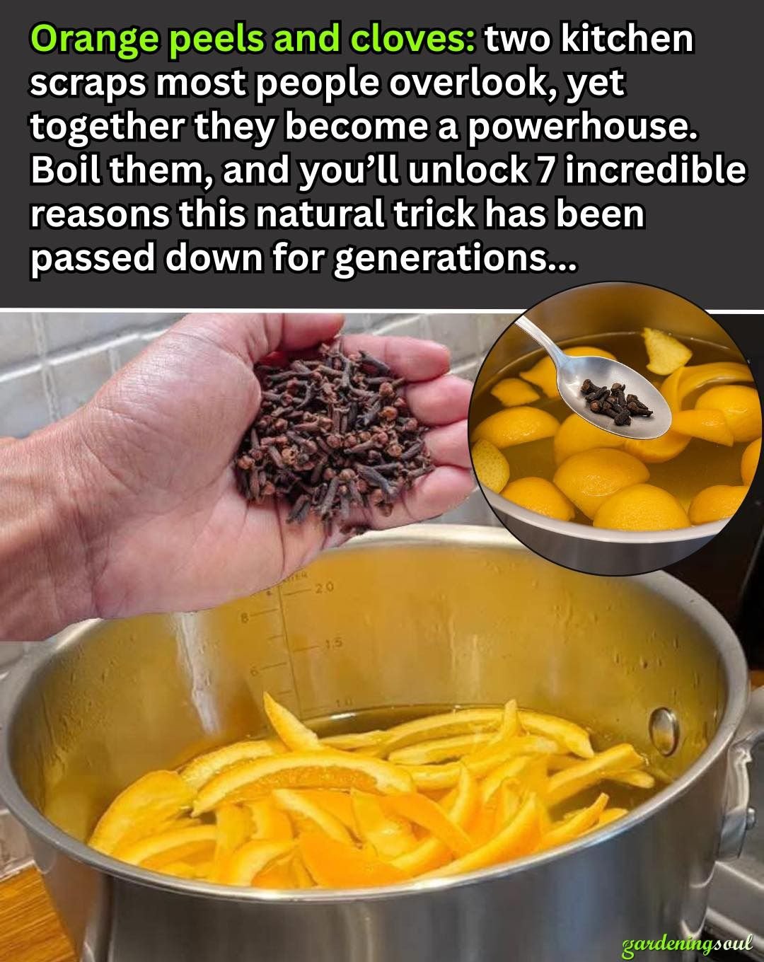 625515068 2361481644265070 6072824119706153728 n