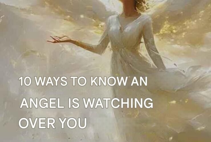 625753320 122124838215005201 378572403547304234 n