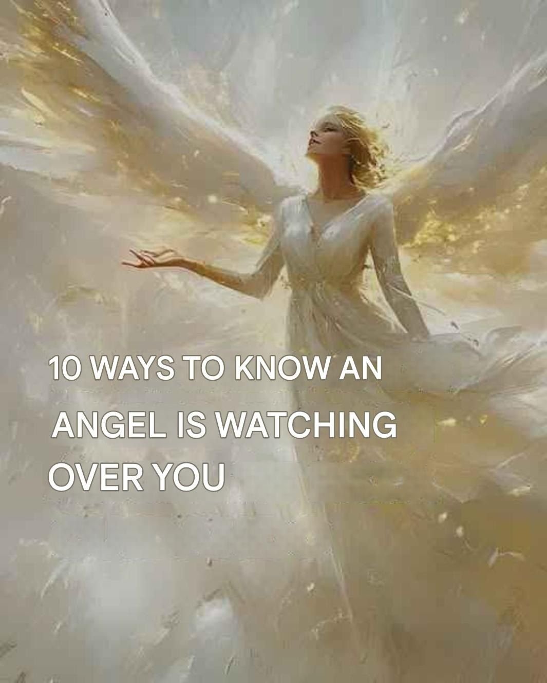 625753320 122124838215005201 378572403547304234 n