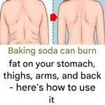 626000675 122283020816226183 5513240222860638297 n