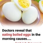 626007648 1657359459035580 6070322131390335123 n