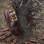 626054620 1216143883919874 8386184252127980236 n