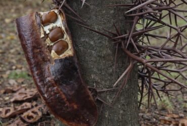 626054620 1216143883919874 8386184252127980236 n