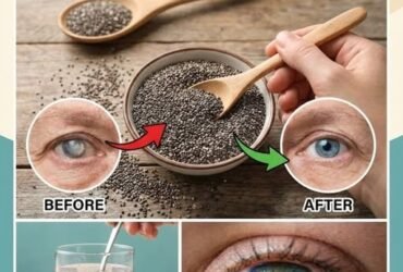 626068505 1470429131261876 4102824388422517960 n