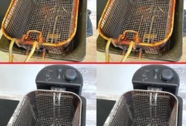 626182027 2316398952215133 7795467710675542329 n