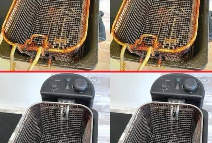 626182027 2316398952215133 7795467710675542329 n