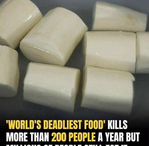 626298304 1467975558173900 2067437742936199930 n