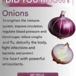 626299860 2373736499735795 1060629752339937803 n