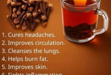 626432085 2318730808648614 5755380602271687246 n