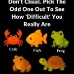 627244578 1575760007090362 3866545990259110597 n