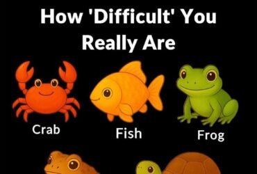 627244578 1575760007090362 3866545990259110597 n