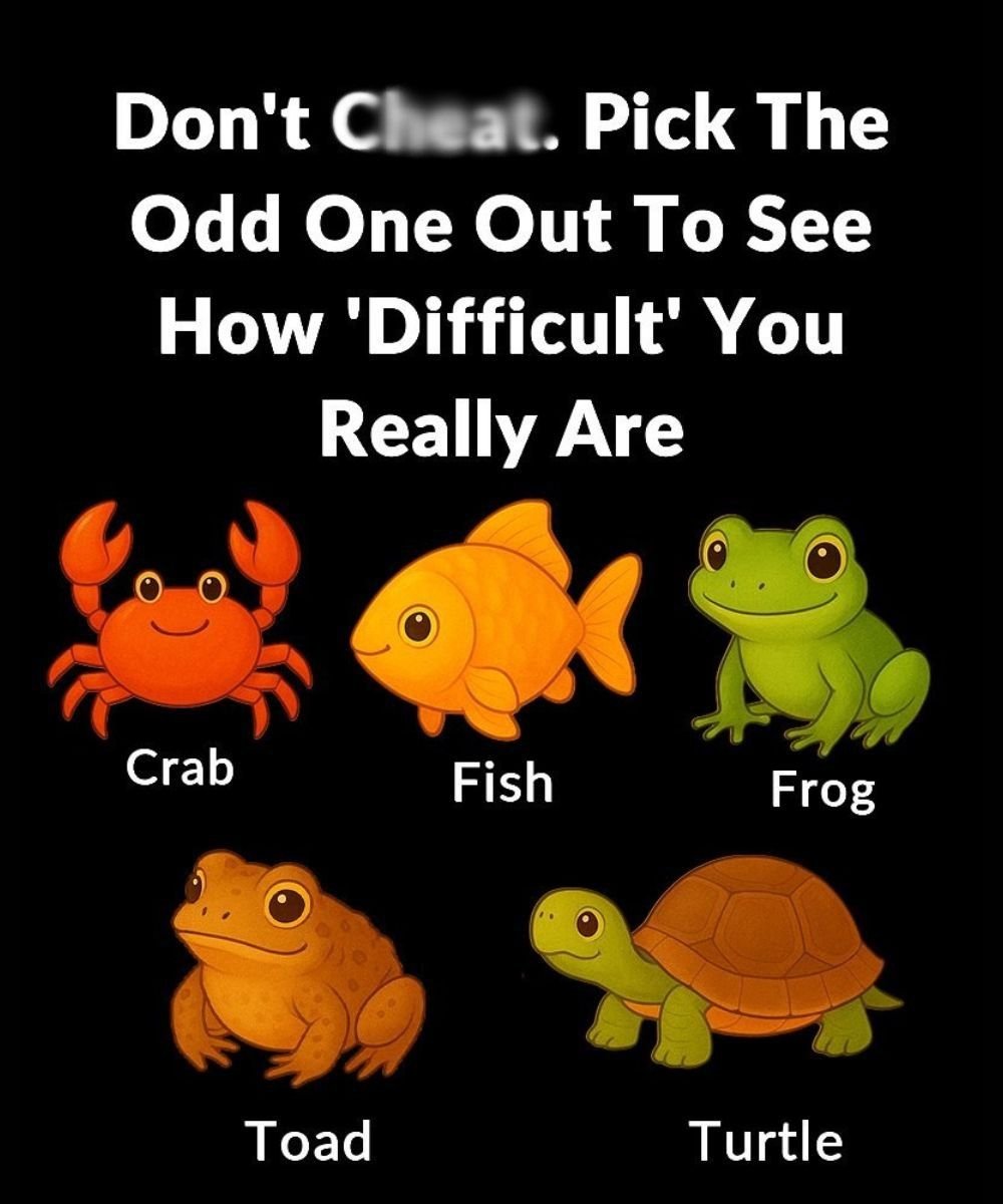 627244578 1575760007090362 3866545990259110597 n