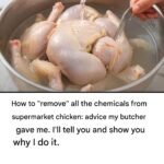 627742103 2370415416712149 8130538492472045729 n