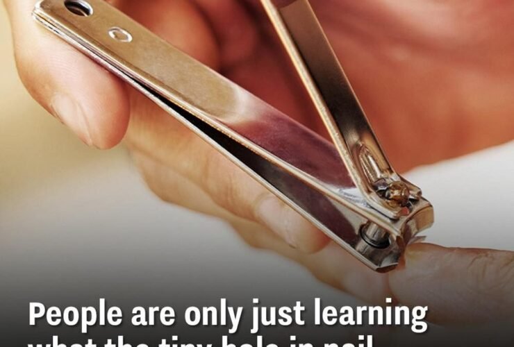 627961499 794350670348668 4058392038951601682 n