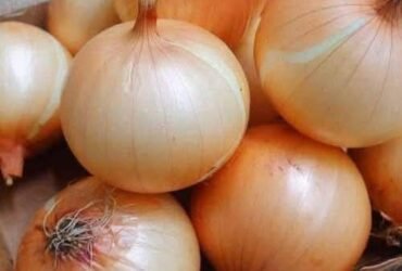 627980054 122165252474648101 5260155781954324320 n