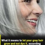 628033063 122125323903007419 7936650062957415525 n