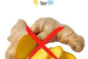 628038871 122125325817007419 9022561429688391336 n