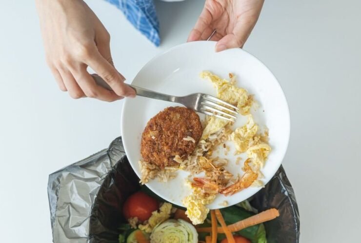 628096400 122115478569153329 8279301456530512887 n