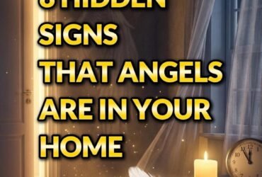 628144677 2059705528220996 8854816758768468475 n