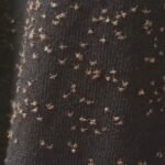 628180043 122125326297007419 7941627059199685383 n