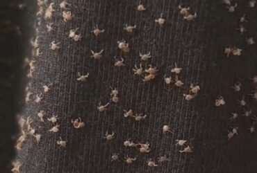 628180043 122125326297007419 7941627059199685383 n