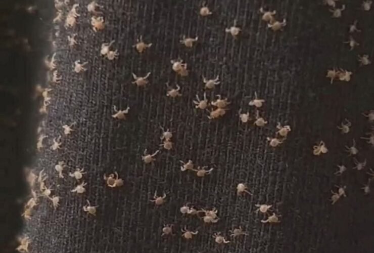 628180043 122125326297007419 7941627059199685383 n