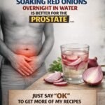 628206927 840571722363002 5271504156244532459 n