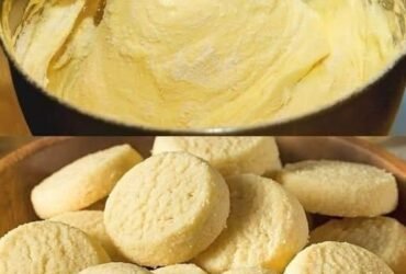 628281327 1559597081936537 8374252966505396576 n