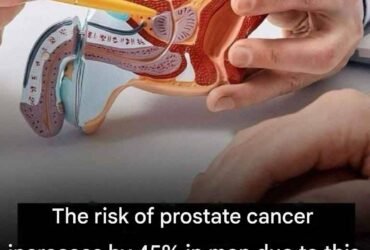 628416196 2188658411961402 503645975670431076 n