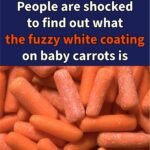 629235786 1560726851823560 8350654568860867267 n