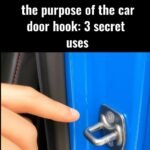 629319953 1778519506457032 6780367720939458727 n