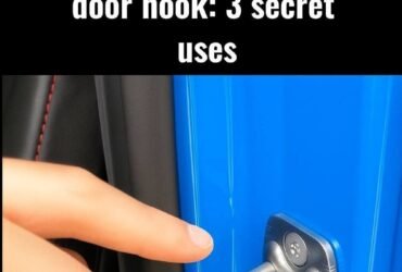 629319953 1778519506457032 6780367720939458727 n