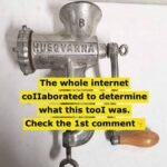 629329239 1557337045501251 7991644977992647392 n