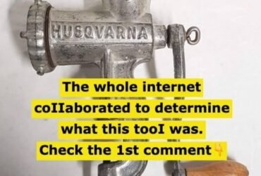 629329239 1557337045501251 7991644977992647392 n