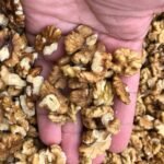 629332028 2288625168335525 8448071312592829167 n