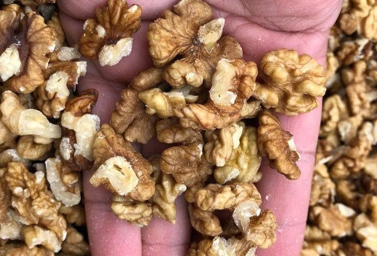 629332028 2288625168335525 8448071312592829167 n