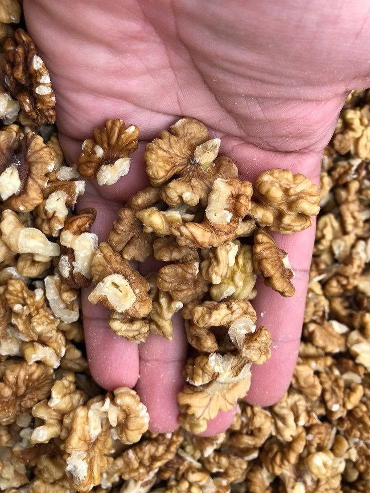 629332028 2288625168335525 8448071312592829167 n