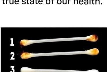 629740597 889540640453665 5157339984197030327 n