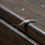 630224648 3022011244856185 4100061349391619064 n