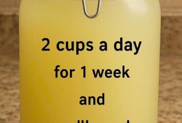 630289886 3022043868186256 5949395064866823603 n