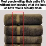 630361865 893034430258270 7629580814460539801 n